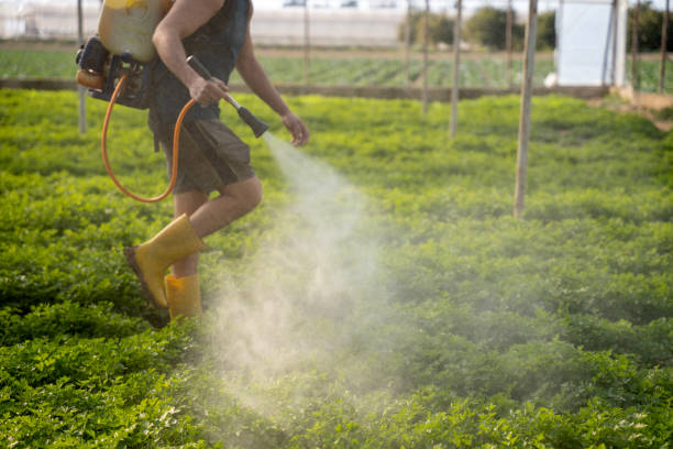 Best Pest Removal Services  in Rib Mountain, WI