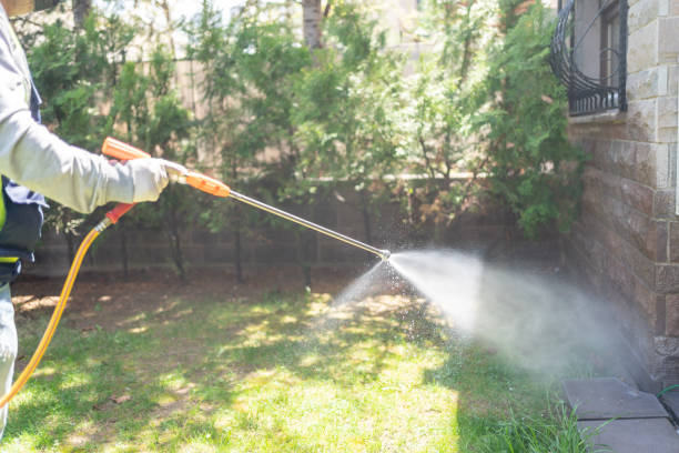 Bird Control in Rib Mountain, WI